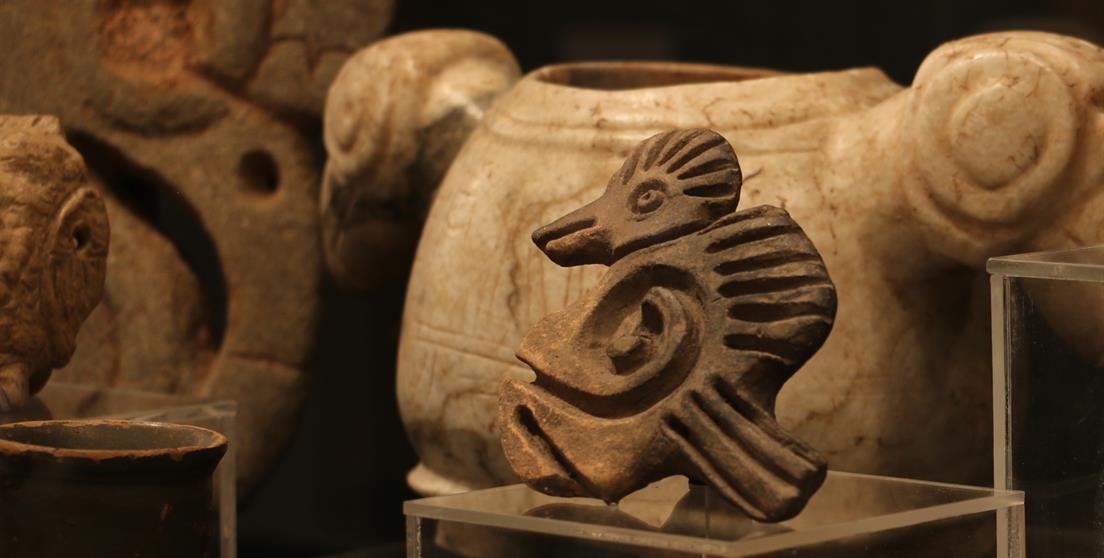 Biodiversidad prehispánica